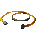 Icon of Anything