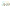 Icon of Boxers with Pink Spots