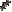 Icon of Abilities NCU - Type 13 (3/6)