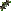 Icon of Abilities NCU - Type 3E (5/6)