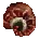 Icon of Half Digested Human Torso