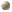 Icon of White opal