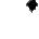 Icon of Split Velvet Sleeves