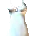 Icon of Wedding Dress