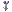 Icon of Pastel Swimsuit